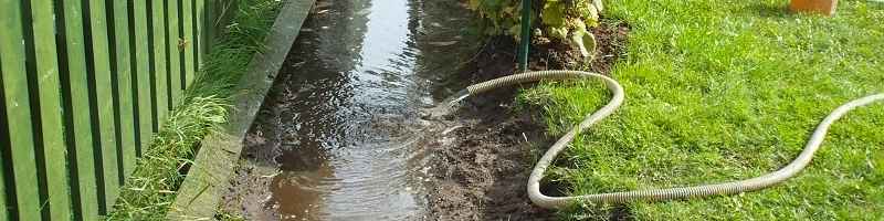 Spices ierīkošana Rīga